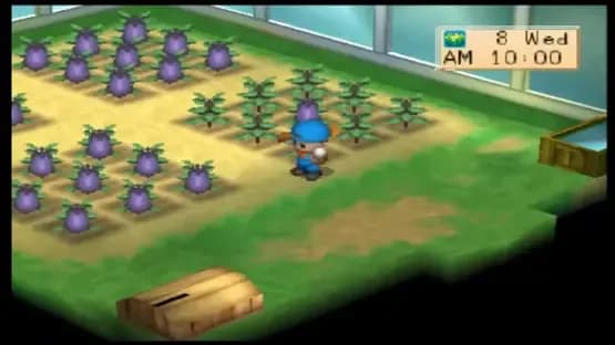 Harvest Moon: Boy & Girl — Screenshoty