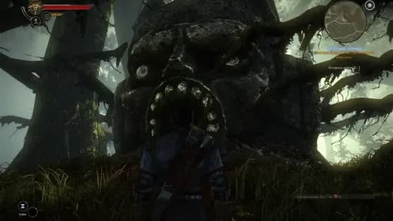 The Witcher 2: Assassins of Kings - Collector's Edition — Screenshoty