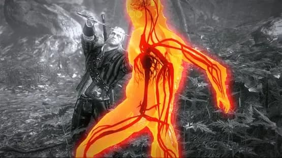 The Witcher 2: Assassins of Kings - Premium Edition — Screenshoty
