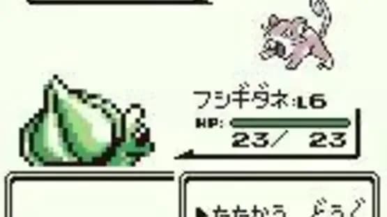 Pokémon Green Version — Screenshoty