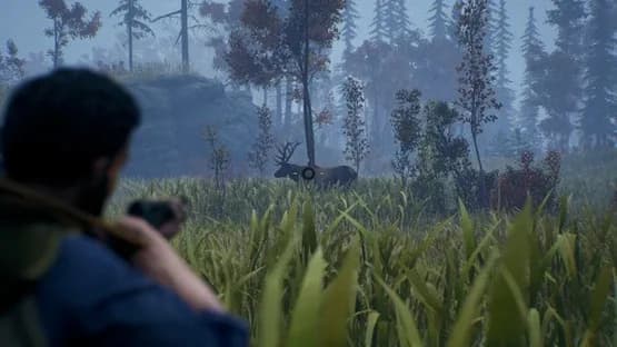 Open Country — Screenshots