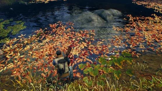 Open Country — Screenshots