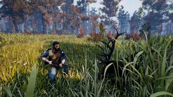 Open Country — Screenshots