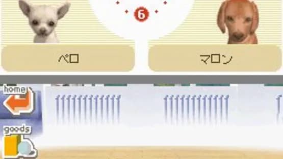 Nintendogs: Dachshund & Friends — Screenshoty