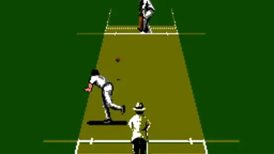 International Cricket — Screenshoty