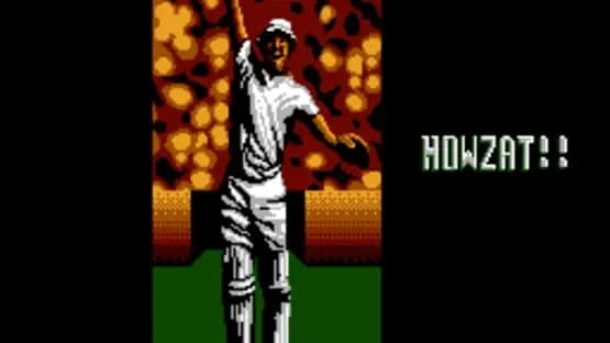 International Cricket — Screenshoty