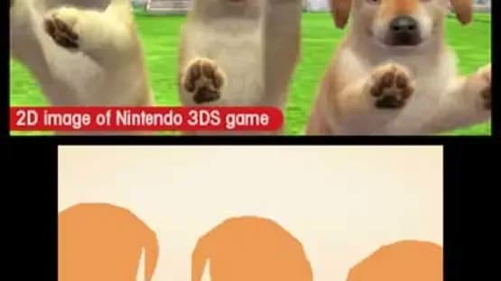 Nintendogs + Cats: Toy Poodle & New Friends — Screenshoty