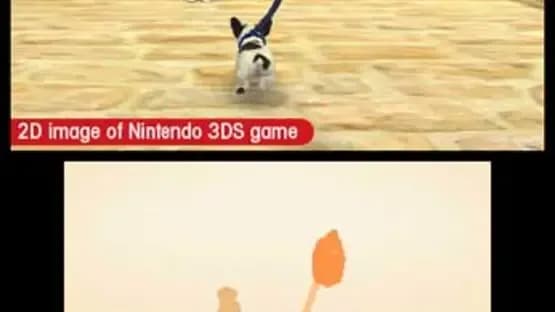 Nintendogs + Cats: Toy Poodle & New Friends — Screenshoty