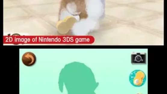 Nintendogs + Cats: Toy Poodle & New Friends — Screenshoty