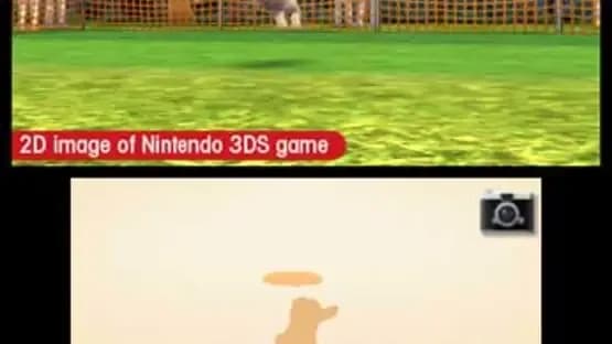 Nintendogs + Cats: Toy Poodle & New Friends — Screenshoty