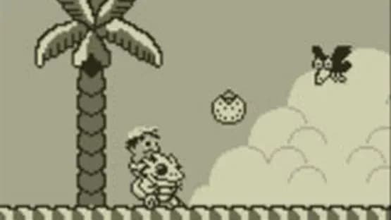 Adventure Island — Screenshots