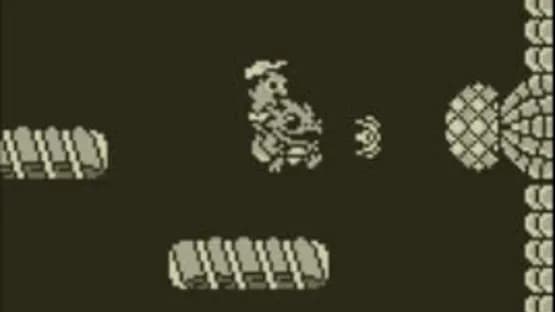 Adventure Island — Screenshots
