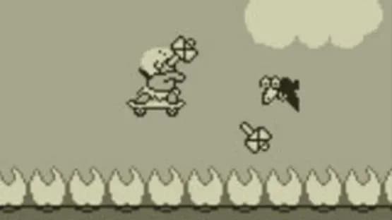 Adventure Island — Screenshots