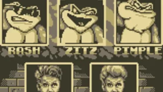 Battletoads / Double Dragon — Screenshoty