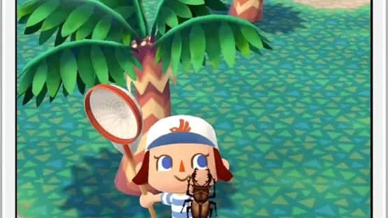 Animal Crossing: Pocket Camp — Screenshoty