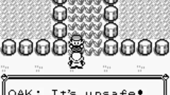 Pokémon Red Version — Screenshoty