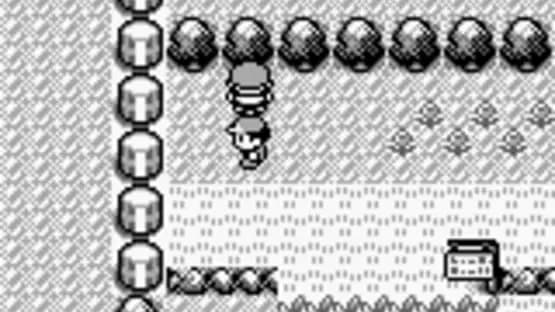 Pokémon Red Version — Screenshoty