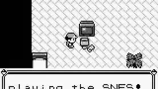 Pokémon Blue Version — Screenshoty