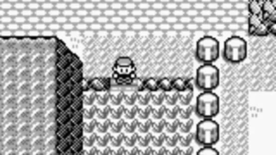 Pokémon Blue Version — Screenshoty