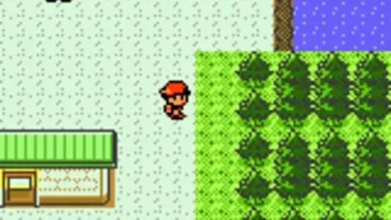 Pokémon Silver Version — Screenshoty