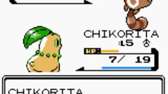 Pokémon Silver Version — Screenshoty