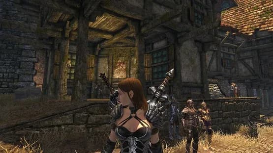 Divinity II: Developer's Cut — Screenshots