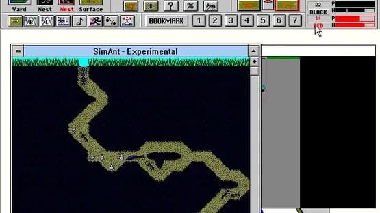 SimAnt — Screenshoty