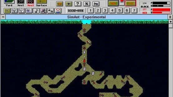 SimAnt — Screenshoty