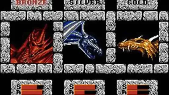 Advanced Dungeons & Dragons: DragonStrike — Screenshoty