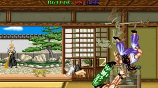 Fighter's History — Screenshoty