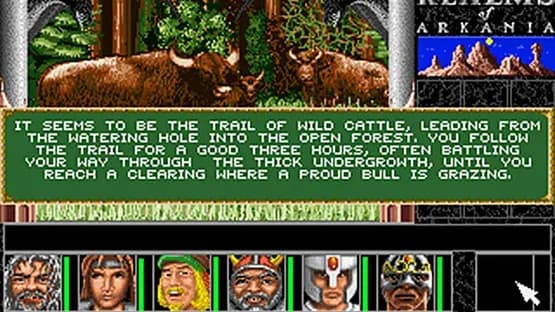 Realms of Arkania: Star Trail — Screenshoty