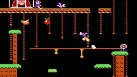 Donkey Kong Jr. — Screenshoty