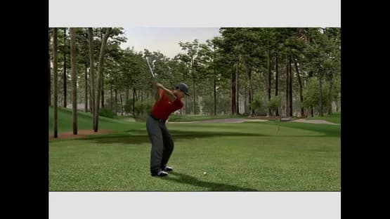 Tiger Woods PGA Tour 06 — Screenshoty