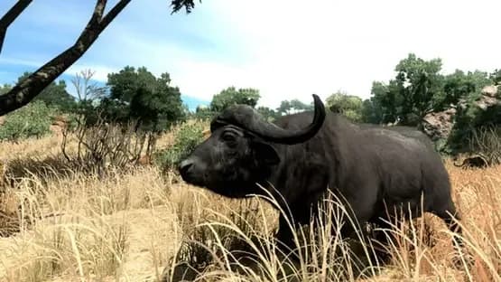 Cabela's Big Game Hunter 2010 — Screenshots