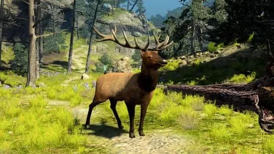 Cabela's Big Game Hunter 2010 — Screenshots