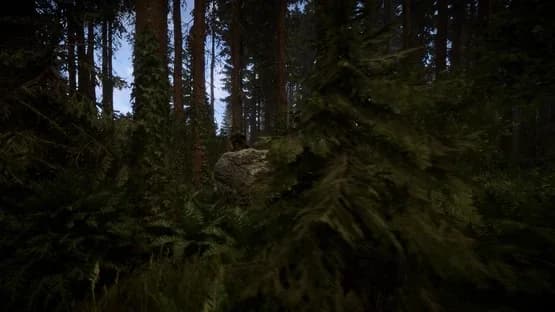 Sons of the Forest — Screenshots