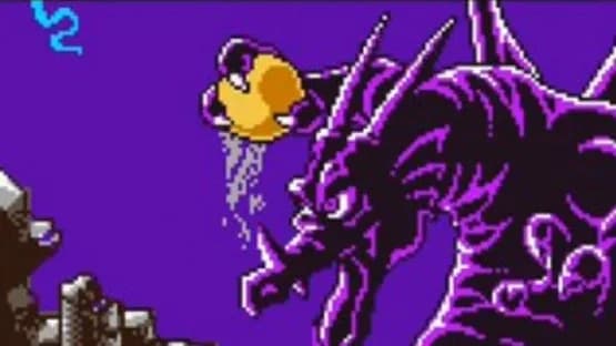 Dragon Warrior I & II — Screenshoty