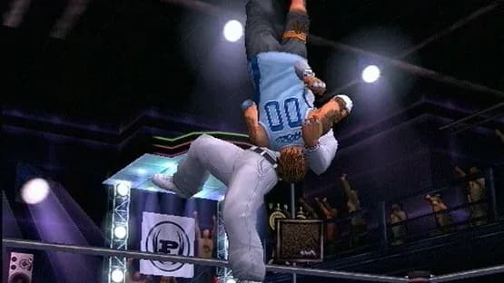 Def Jam Vendetta — Screenshoty