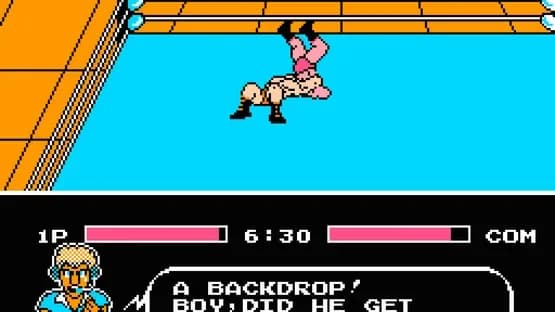 Tecmo World Wrestling — Screenshoty