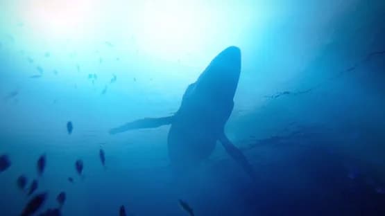 Under the Waves — Screenshoty