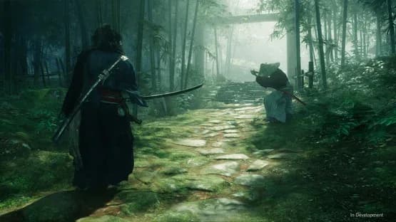 Rise of the Ronin — Screenshoty