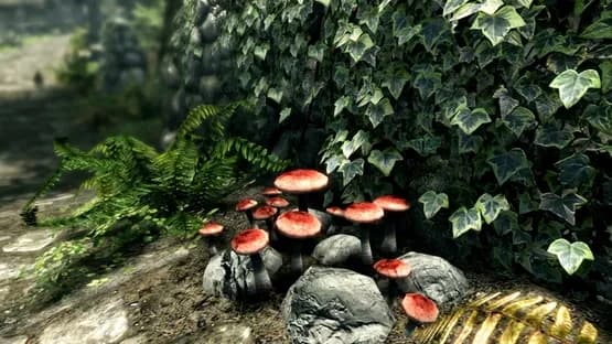 The Elder Scrolls V: Skyrim - Anniversary Edition — Screenshoty