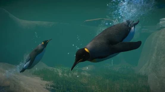 Planet Zoo: Aquatic Pack — Screenshoty