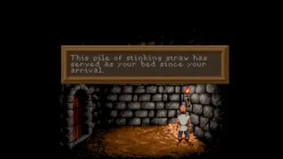 Lure of the Temptress — Screenshoty