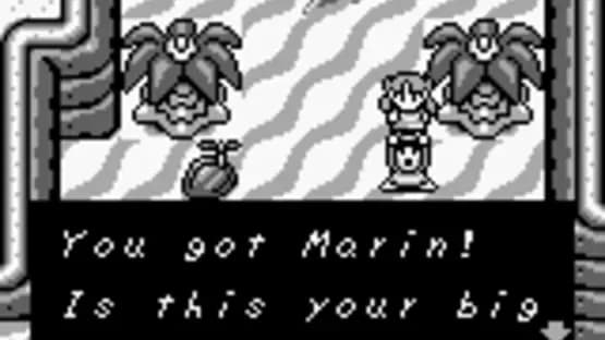 The Legend of Zelda: Link's Awakening — Screenshoty