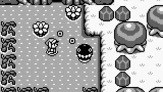 The Legend of Zelda: Link's Awakening — Screenshoty