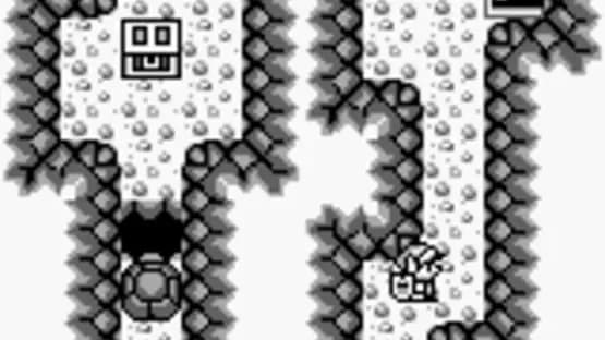 The Legend of Zelda: Link's Awakening — Screenshoty
