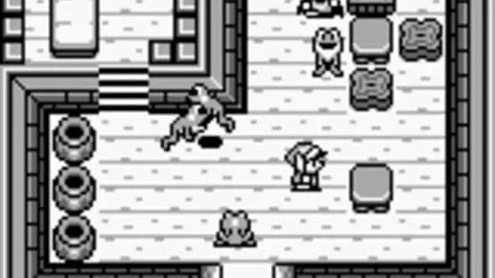 The Legend of Zelda: Link's Awakening — Screenshoty