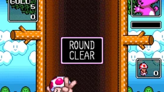 Wario's Woods — Screenshoty