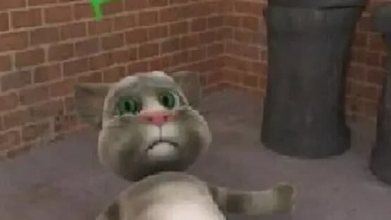 Talking Tom Cat — Screenshots